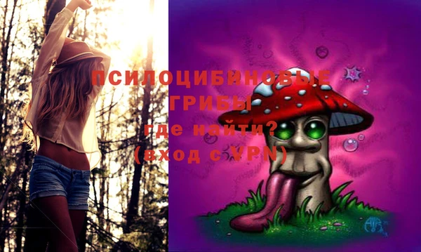 марки lsd Балабаново
