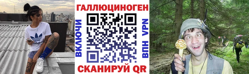 Галлюциногенные грибы GOLDEN TEACHER  купить наркотики сайты  Плёс 