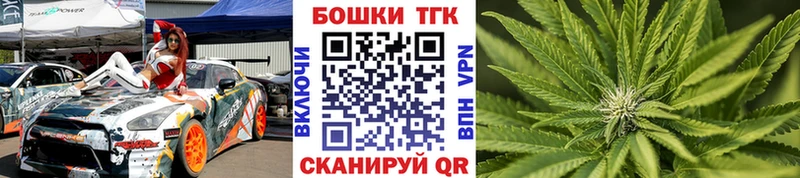 Канабис OG Kush  Плёс 